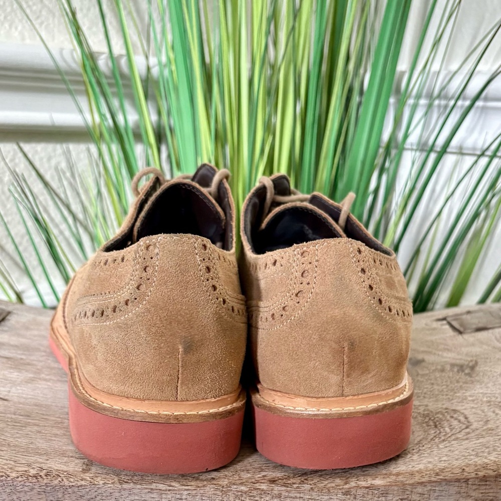 Cole Haan Wingtip Tan Suede Oxfords - Picture 6 of 9